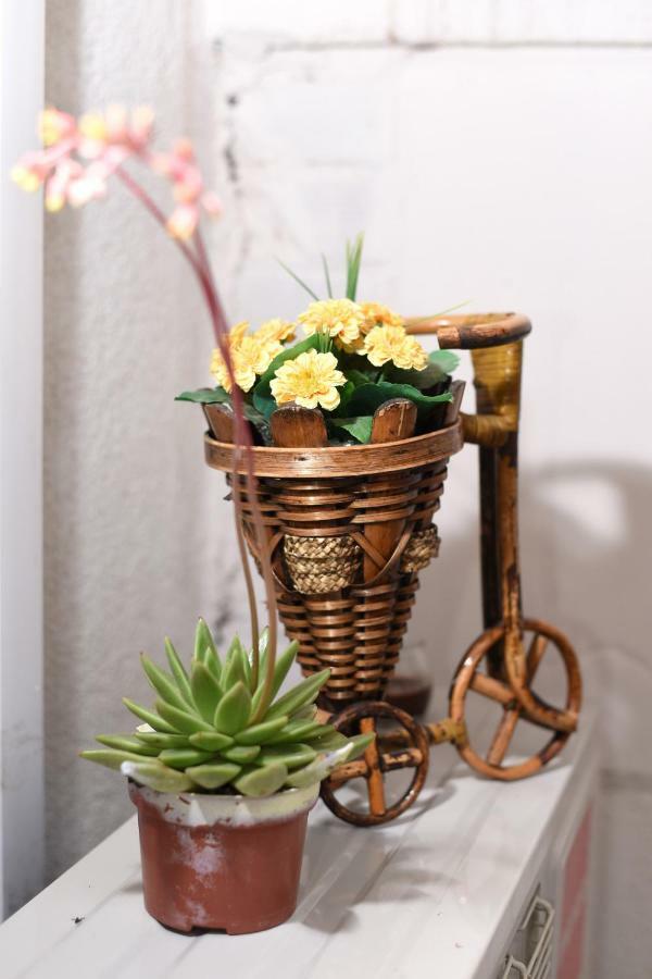 Apartment Karla ザダル エクステリア 写真